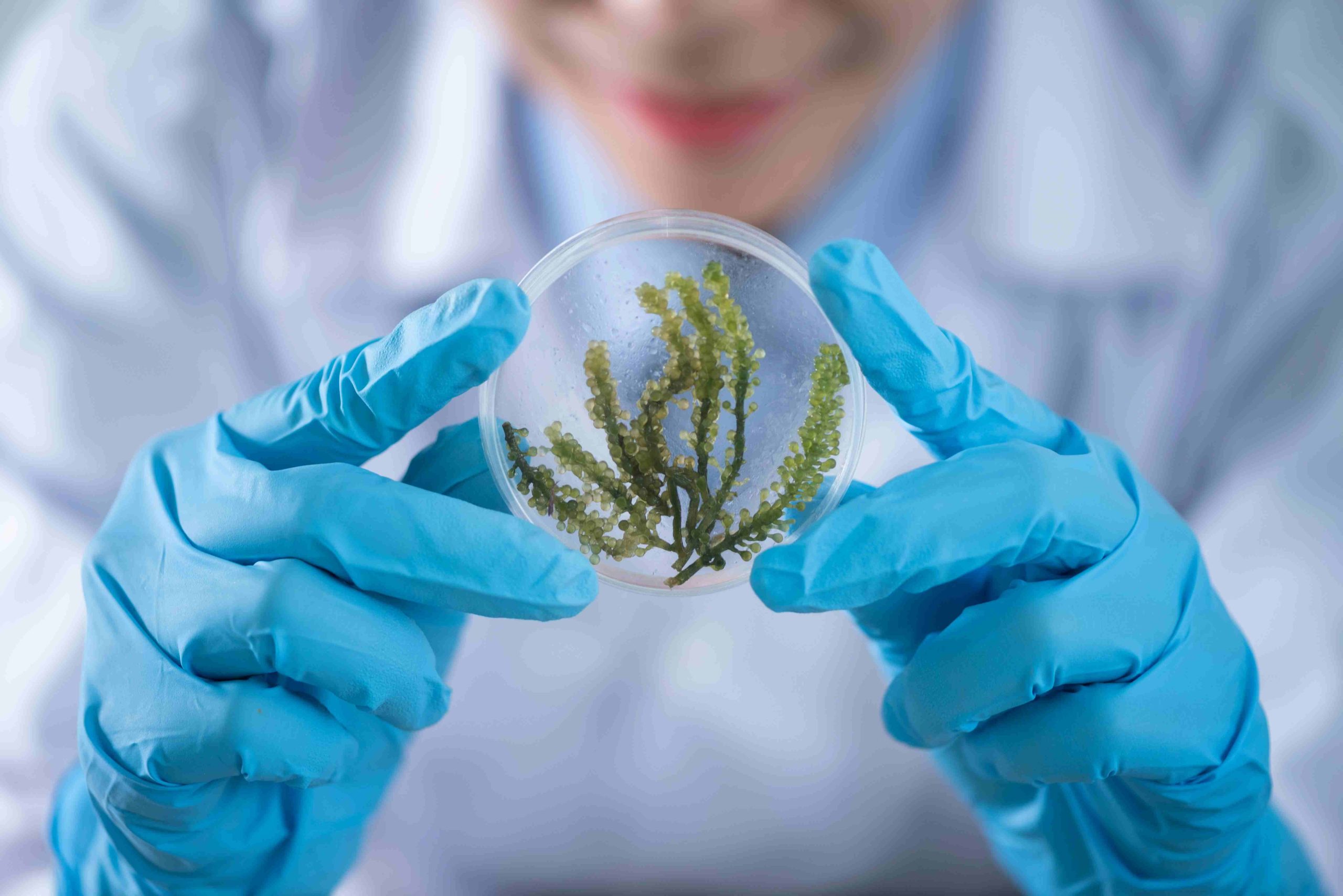 天津港保税区管理委员会关于印发天津港保税区关于支持生物制造产业高质量发展的若干政策(试行)的通知--领智咨询