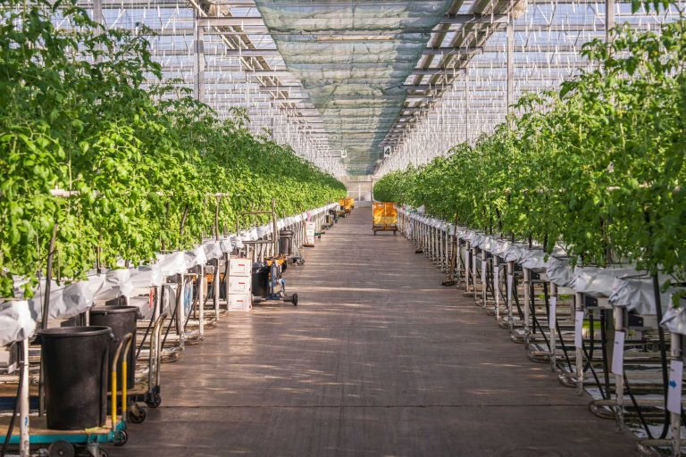 关于印发《关于加强数字经济创新型企业培育的若干措施》的通知--领智咨询